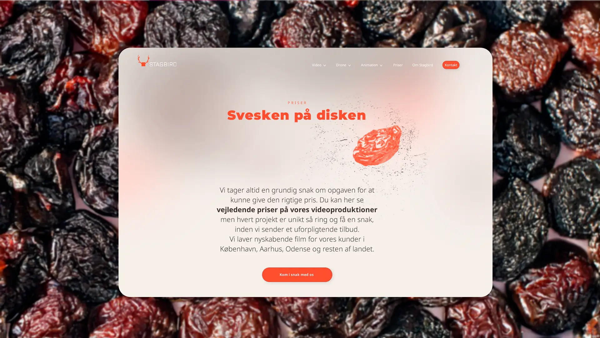 stagbird_webdesign_2 website sektion design